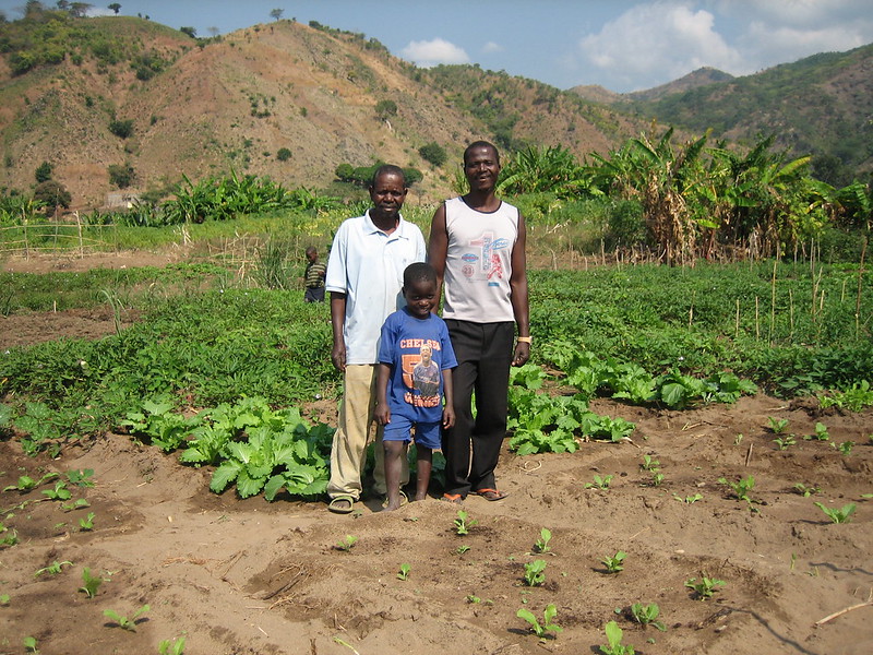 Farming in Nkhata Bay North