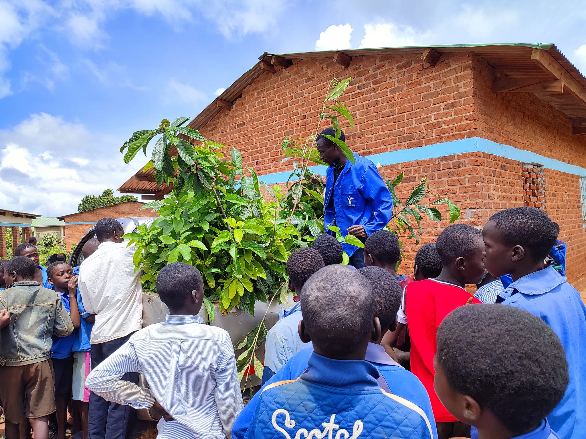fruit trees being distributed by Temwa Malawi tree planting project officers 