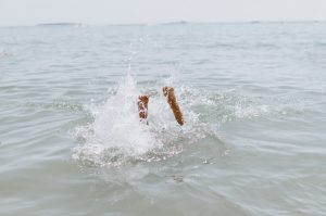 WildSwimWinter
